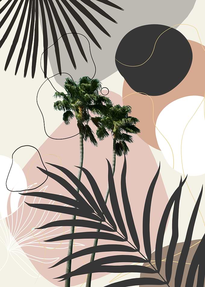 Cali Palm Tree Finesse 1