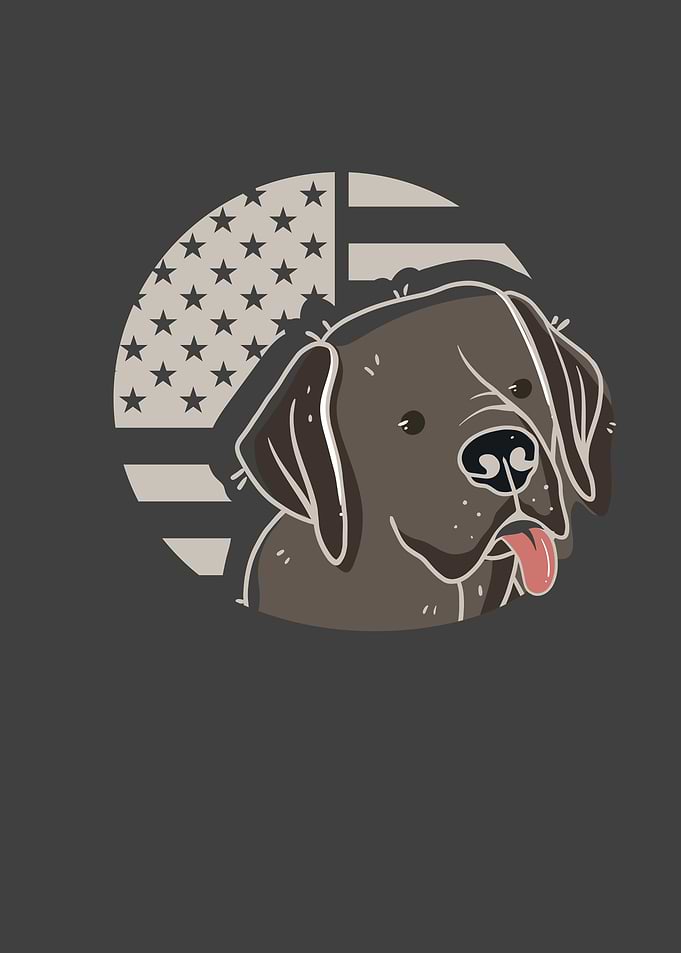 USA Flag Labrador Owner