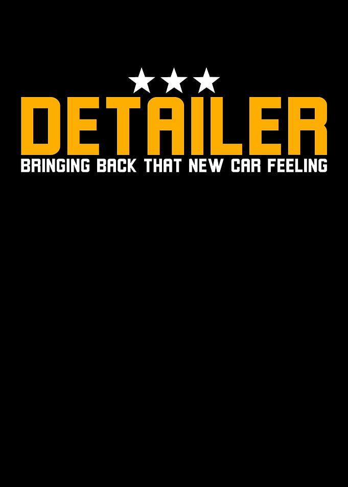 Auto Detailing Detailer