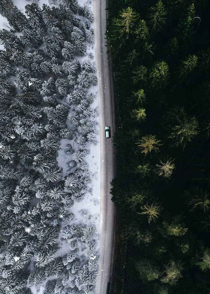 Winter and Summer