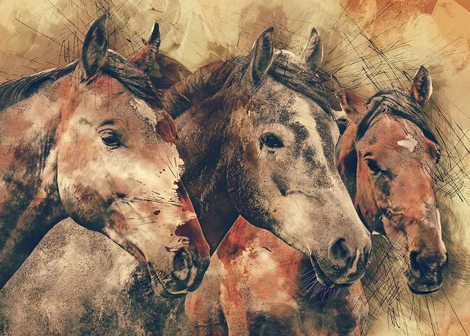 Horses