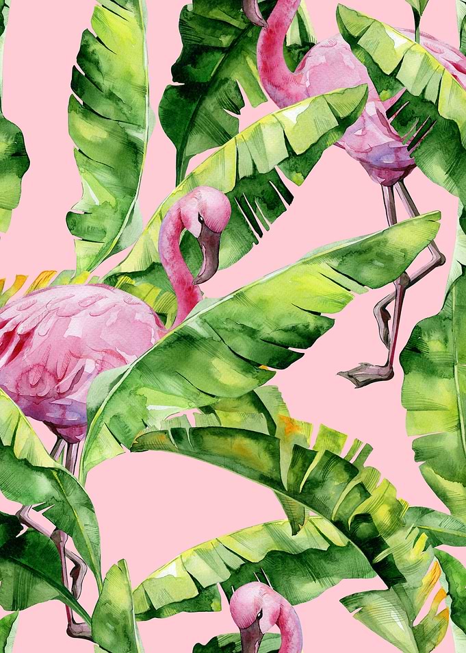 Pink Watercolor Trop 11