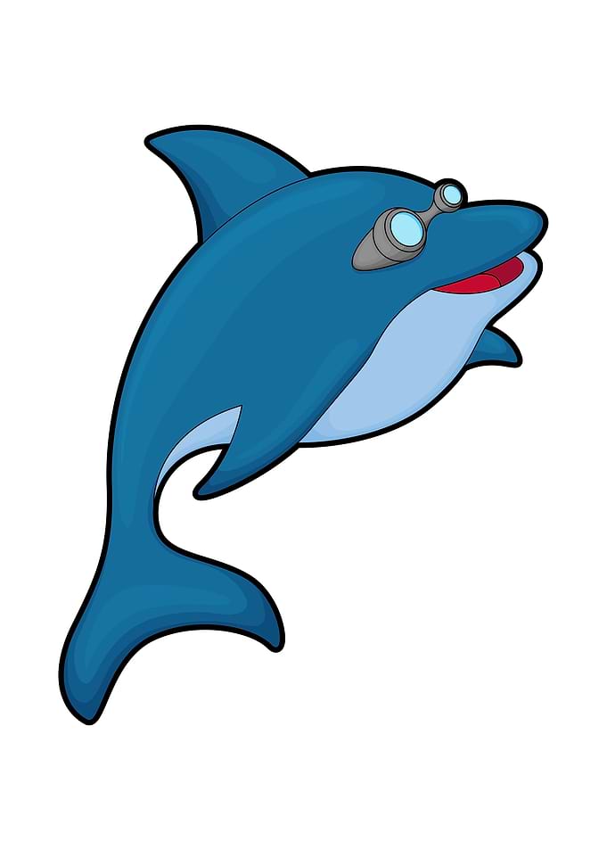 Dolphin Swimming