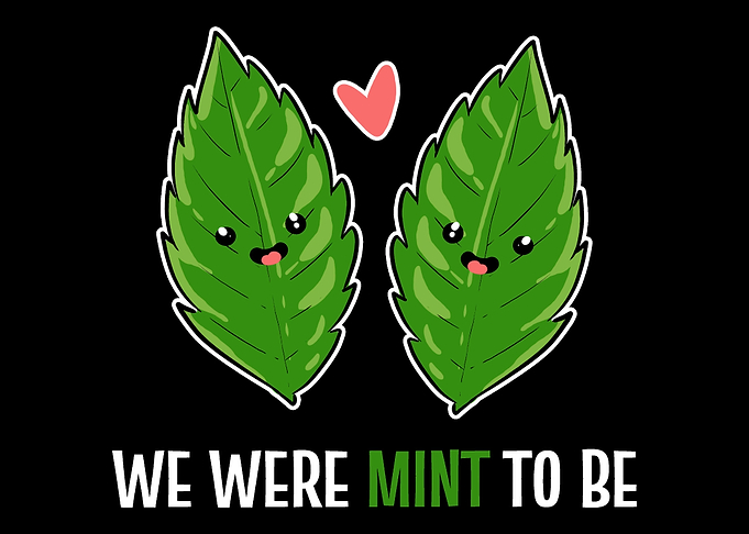 Mint to be Boyfriend or Gi