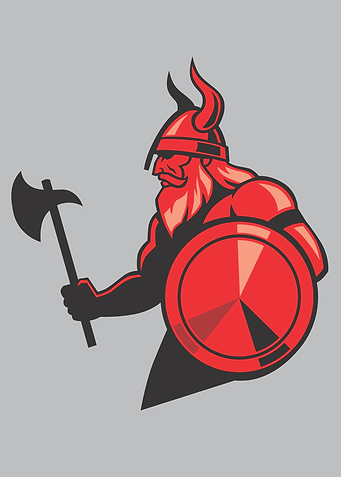Viking Spartan