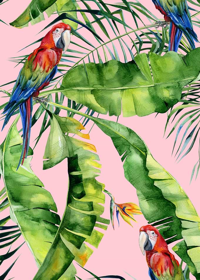 Pink Watercolor Trop 17