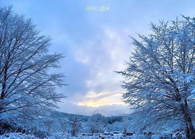 beautiful sunset in snow