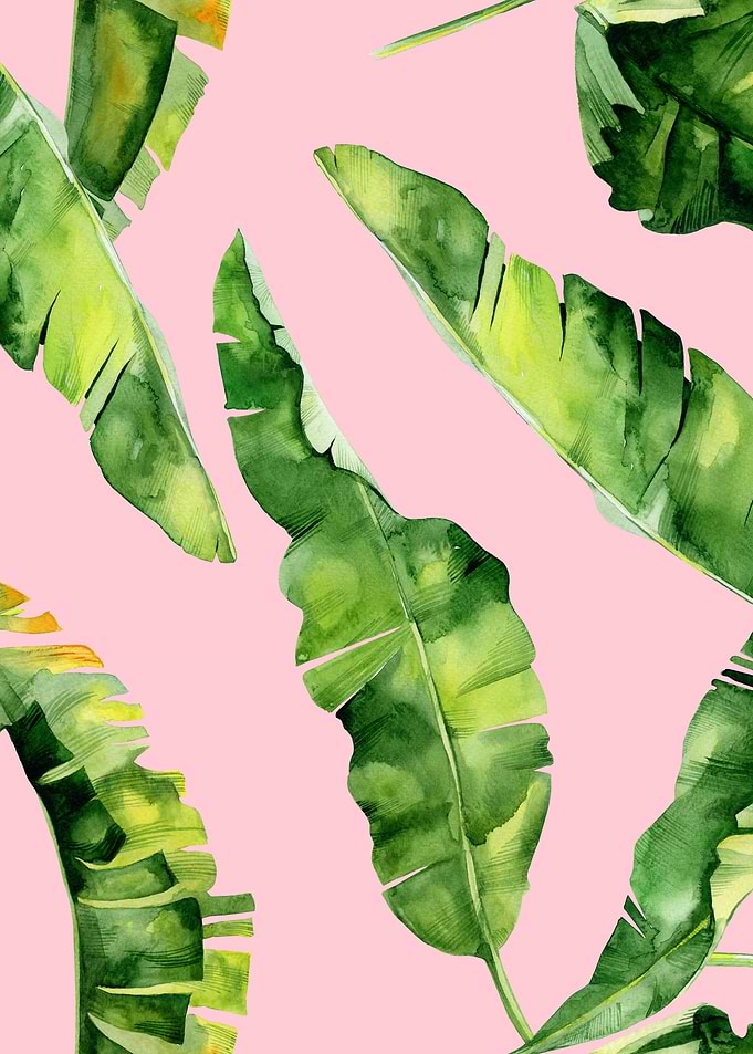 Pink Watercolor Trop 13