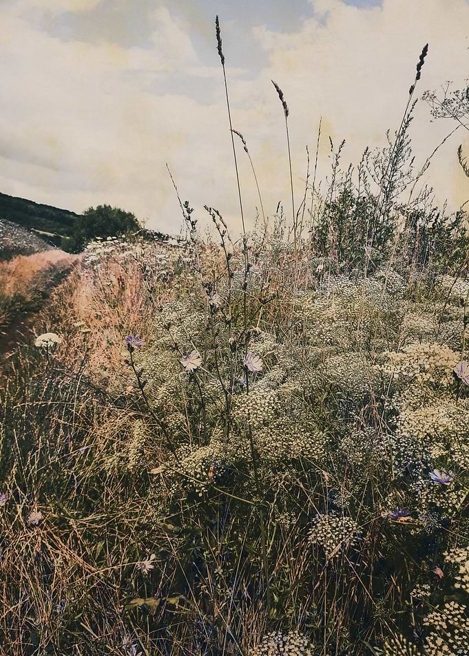 Vintage summer path