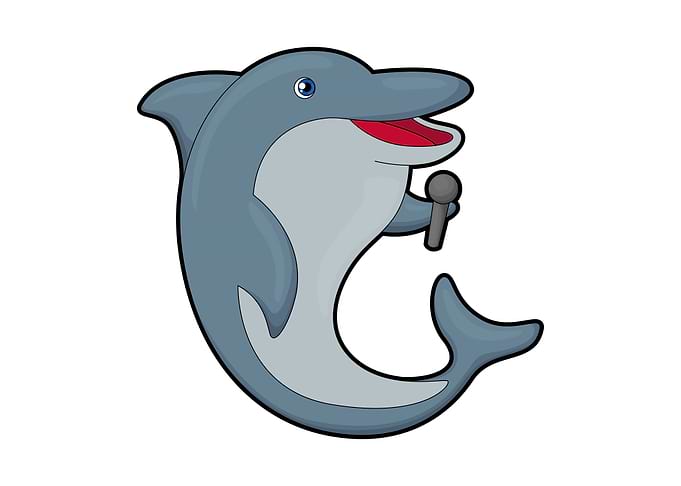Dolphin Singing Microphone