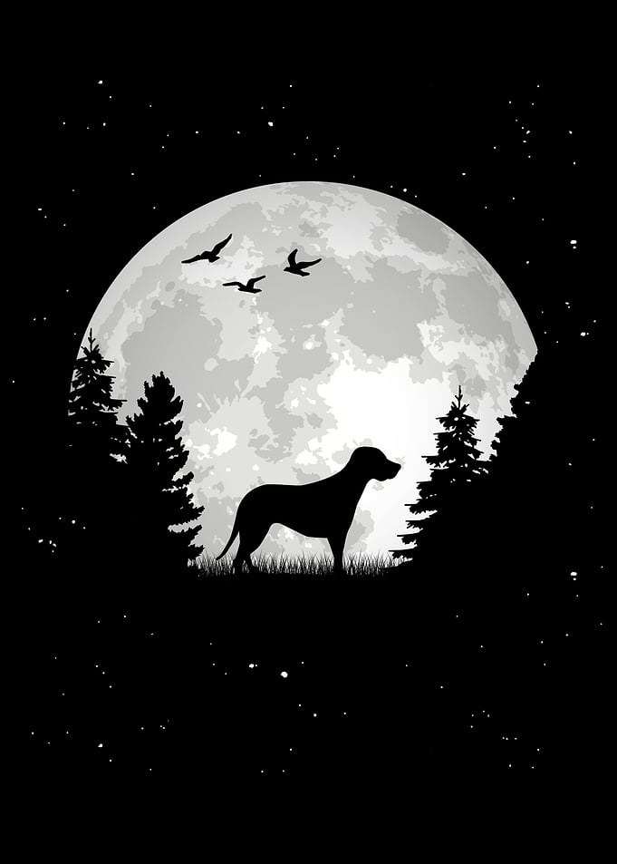 Brandlbracke Moon Bracke