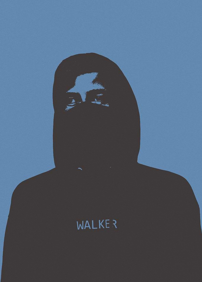 ALAN WALKER Poster