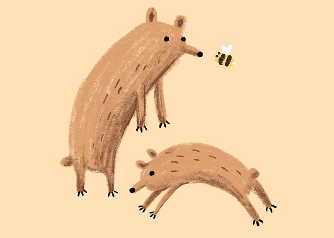Bee and Bears