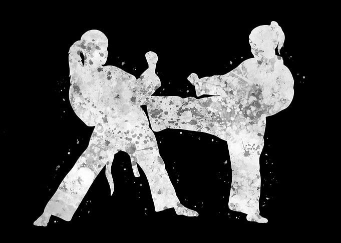 Taekwondo karate girl