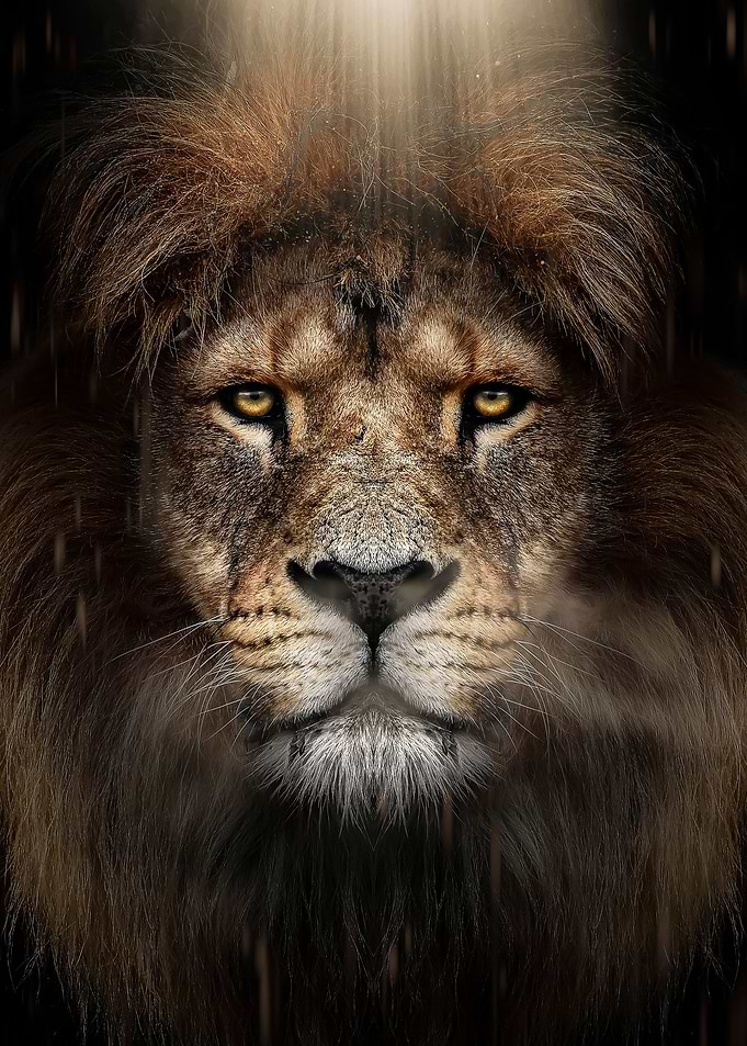 epic lion king face poster