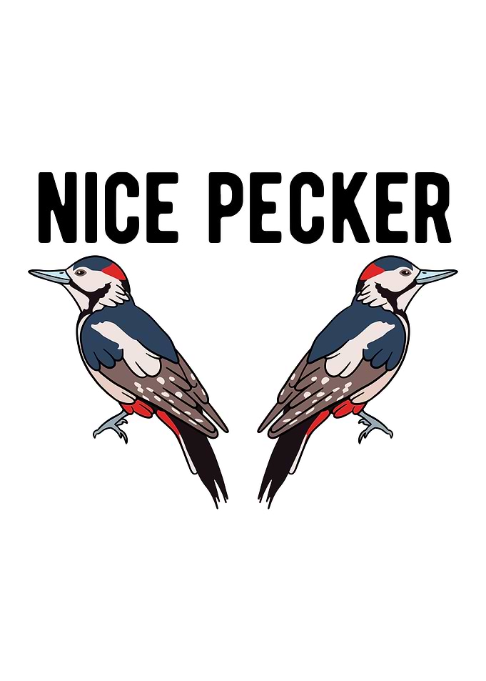 Funny Bird Woodpecker Gift