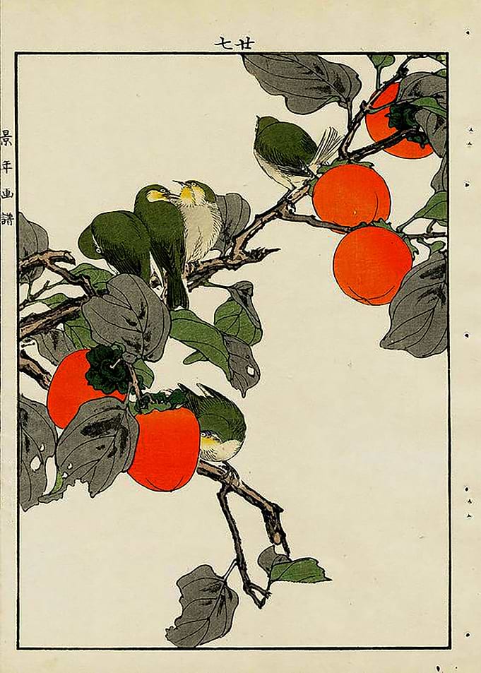 japanese woodblock prints