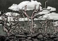 Dark Fantasy Landscape Art