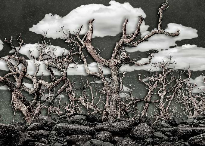 Dark Fantasy Landscape Art