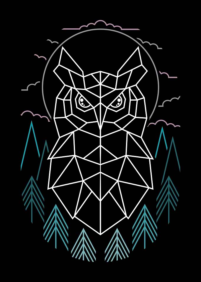 The Owl Geometry