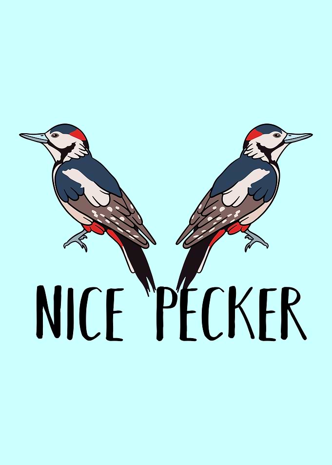 Woodpecker Nice Pecker