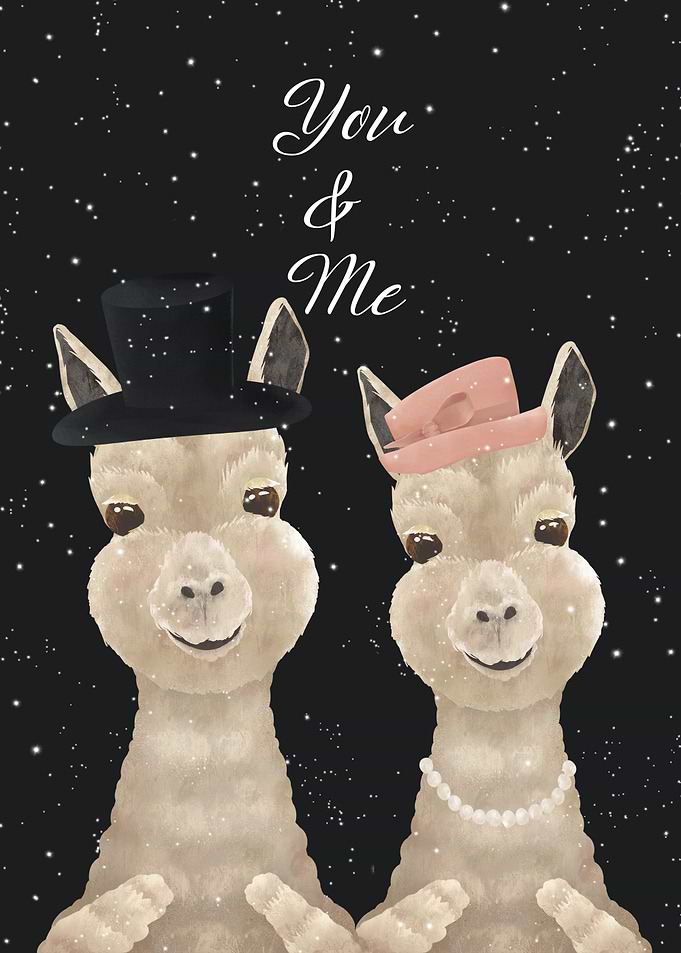 You and Me Llama