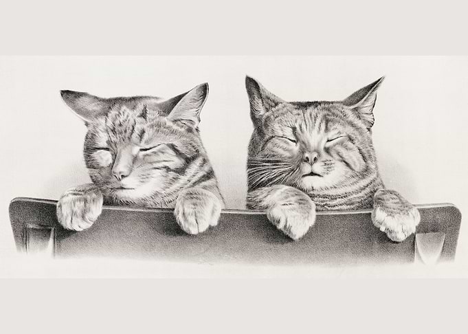 TWO CATS VINTAGE