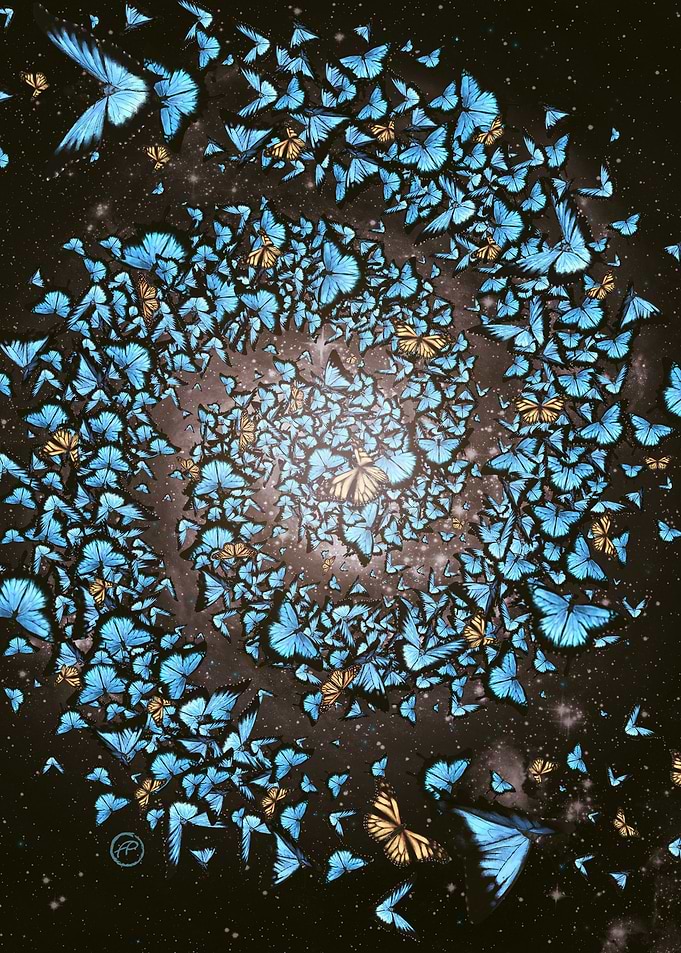 Butterfly Galaxy