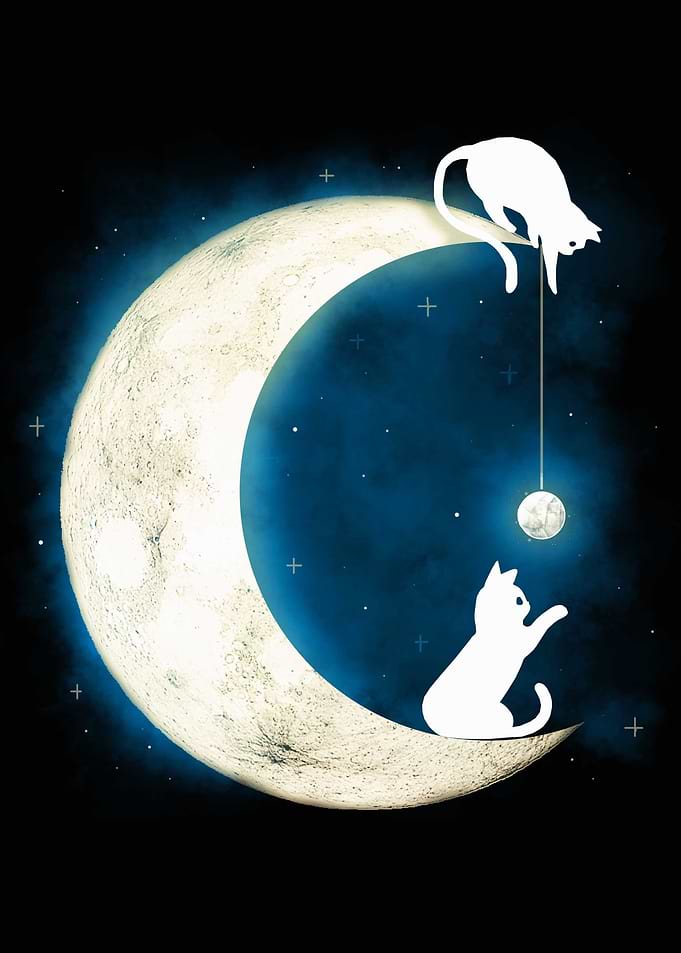 Moon Cats