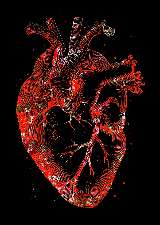 Red heart