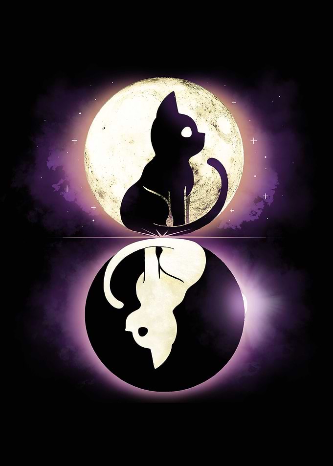 Moon Eclipse Cats