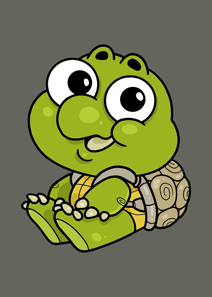 Baby Turtle