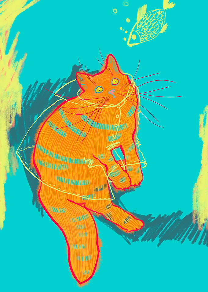 Ginger cat fishing