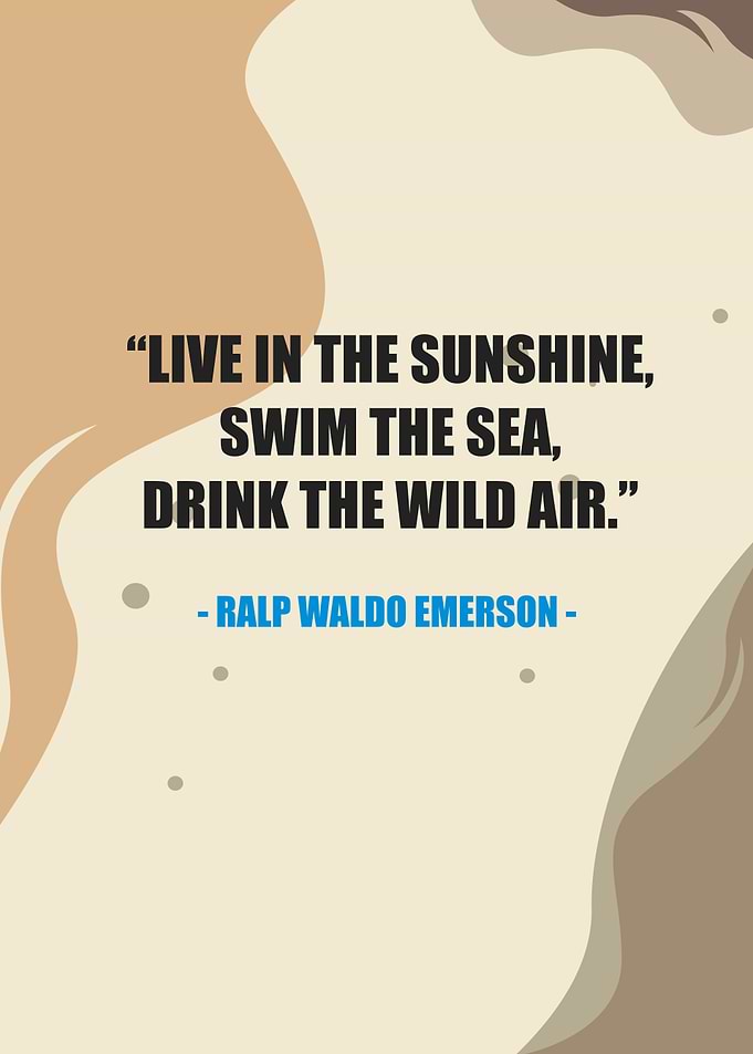 live in the sunshine