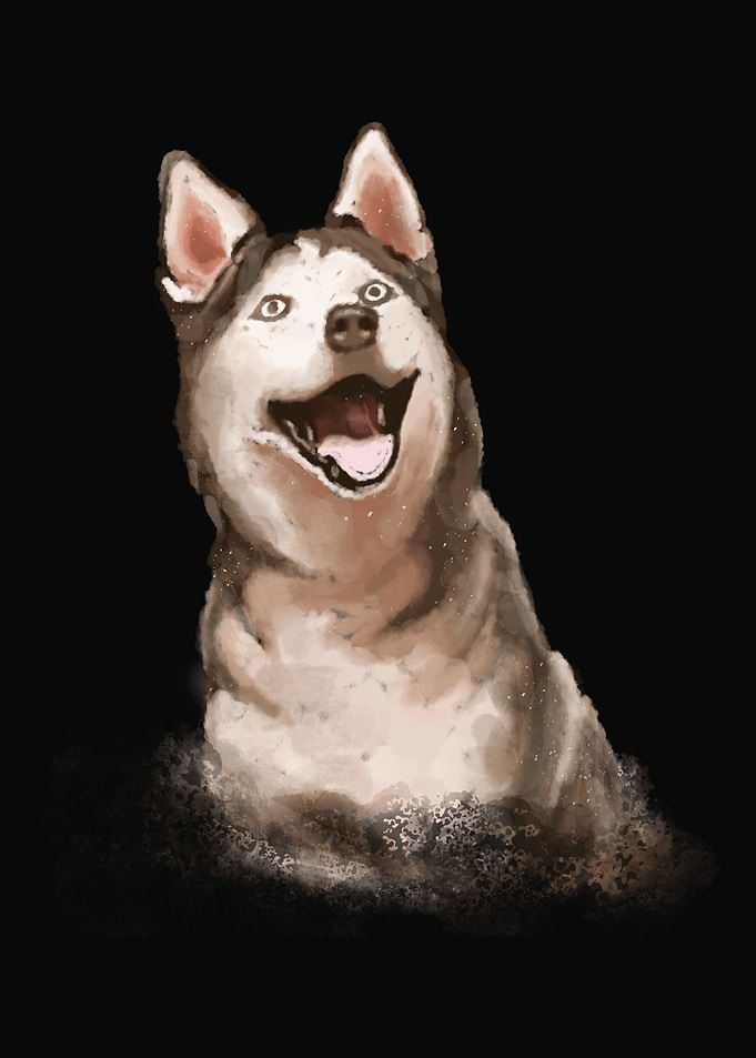 Dog Dogs Puppy Dog Doggy