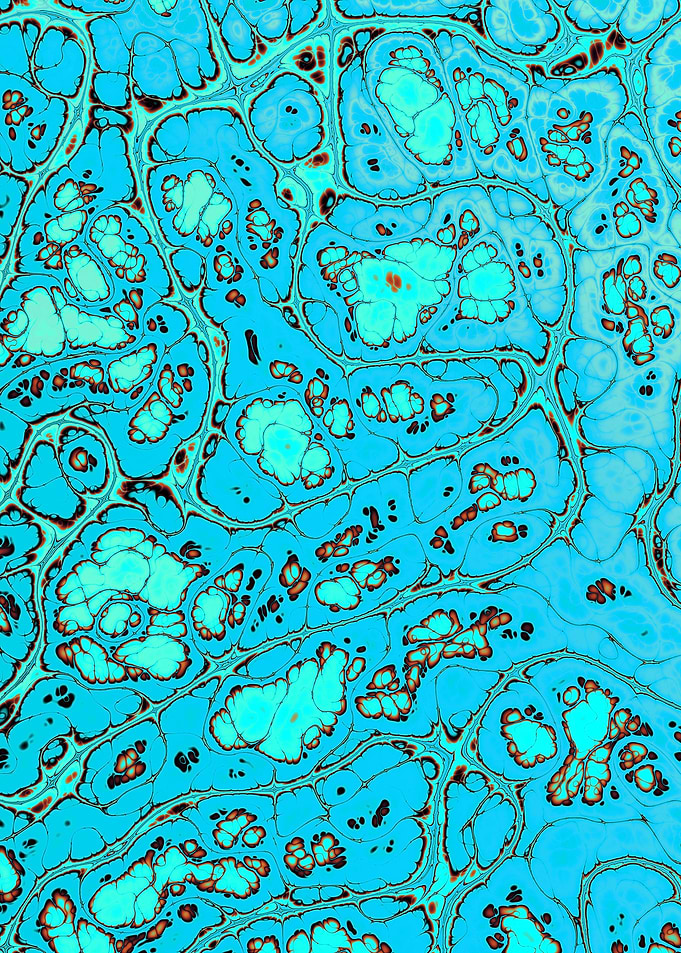Turquoise Gem Texture 20