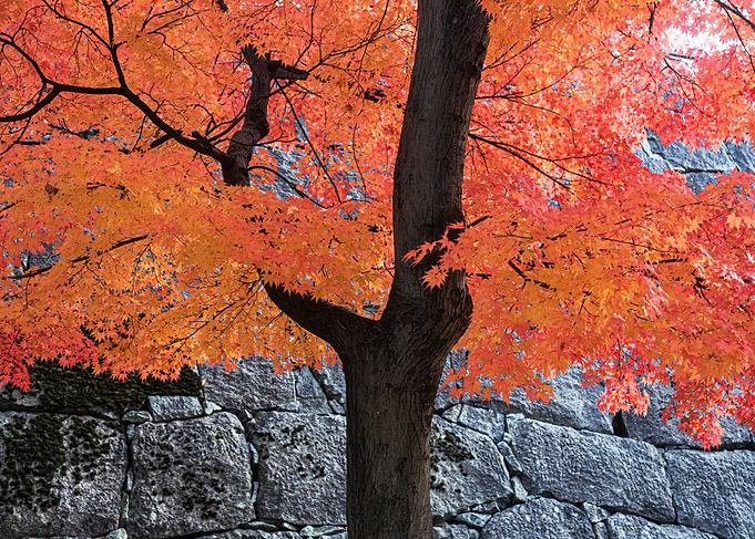 The look of autumn