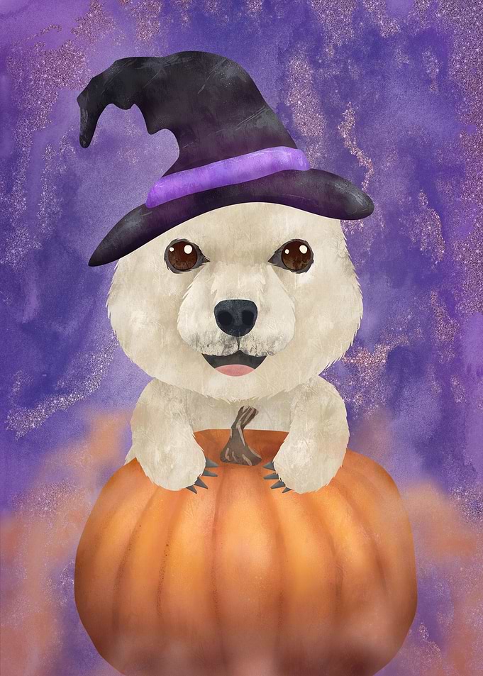 Polar Bear Halloween Party