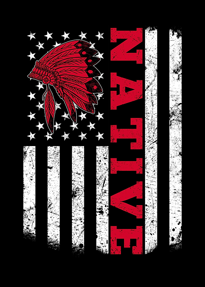 Native American Flag for