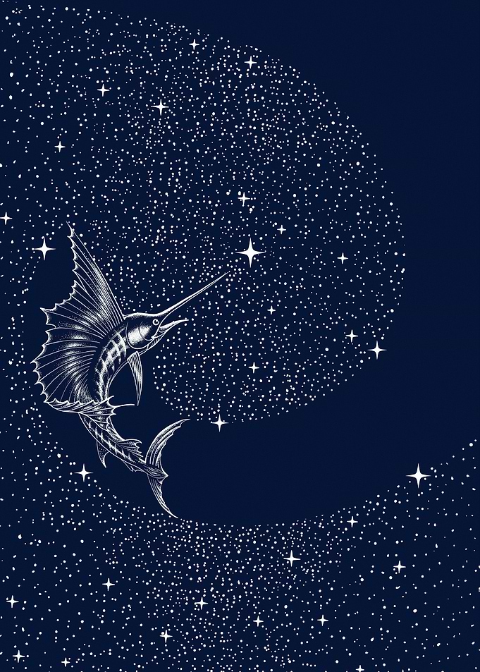 Starry sailor