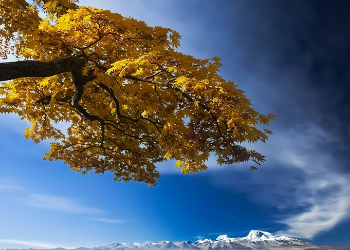 The look of autumn