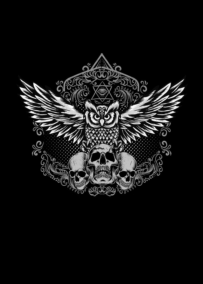 Skull Owl Mysterious Bird