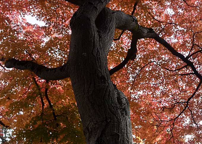 The look of autumn