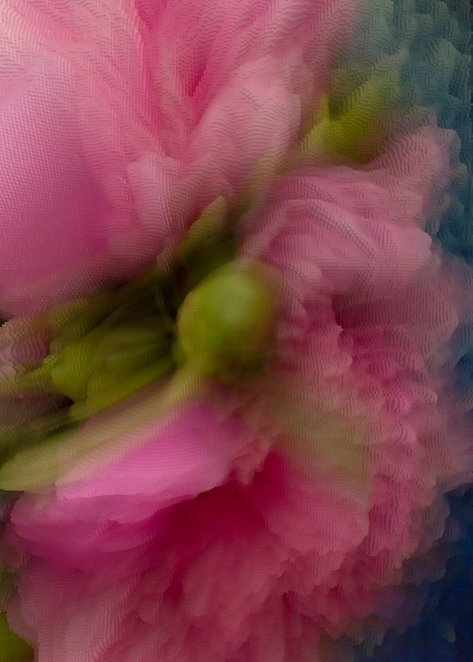 Abstract bouquet