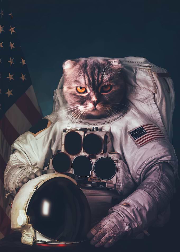 Space 31