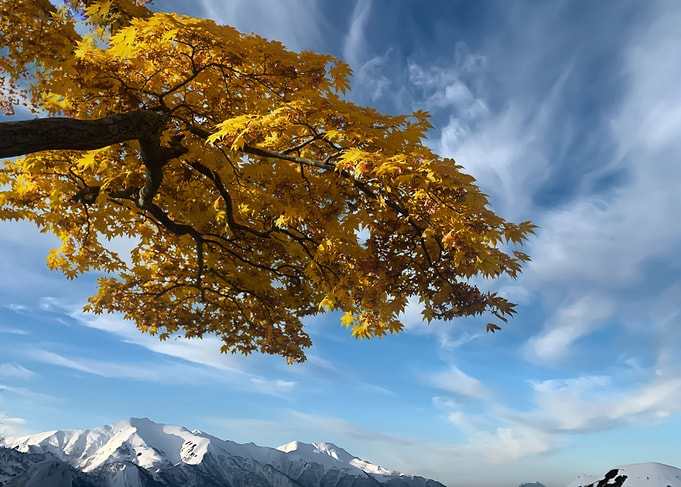 The look of autumn