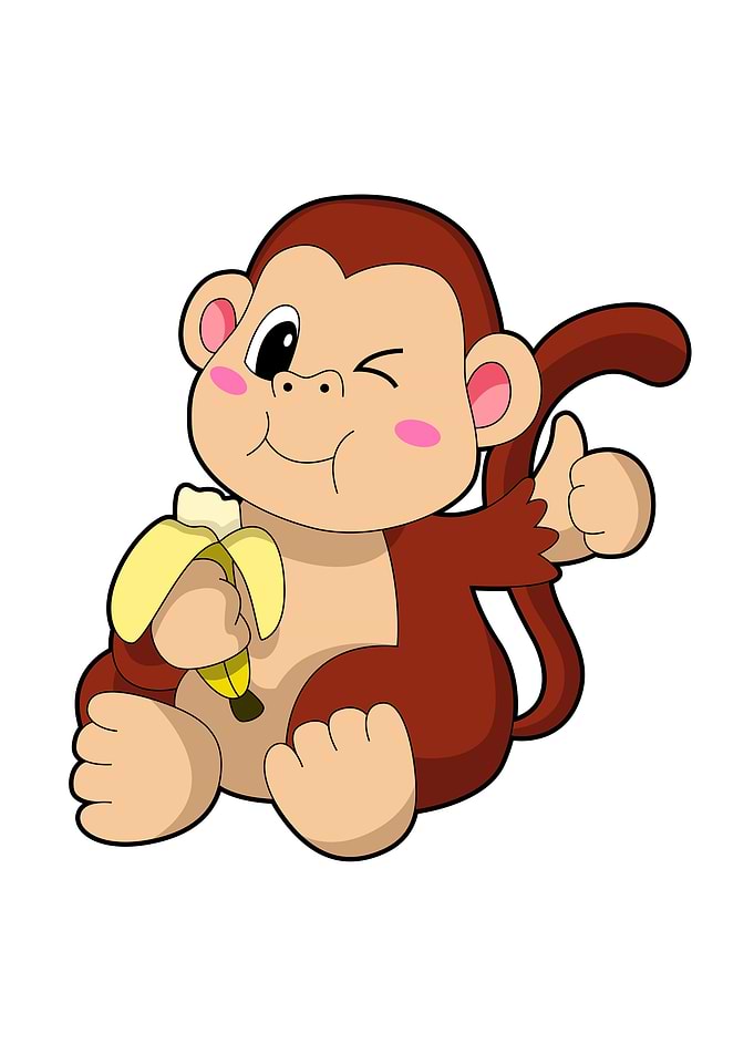 Monkey Eating Banana