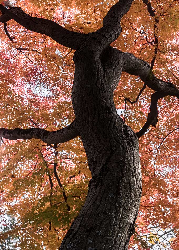 The look of autumn