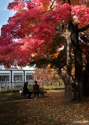 The look of autumn