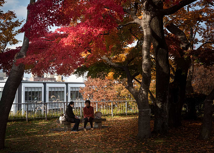 The look of autumn